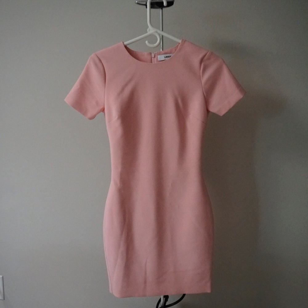 Blush Pink Bodycon Dress